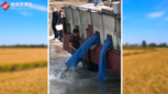 保護長江生態環境：政府投放四萬斤魚苗