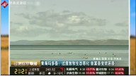 <em>青海省</em>瑪多縣過度放牧破壞<em>生態(tài)</em>平衡
