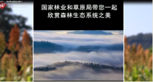 習(xí)近平：“綠水青山就是金山銀山”