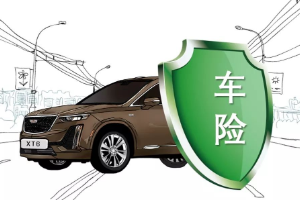 目前假期延長(zhǎng)，車輛保險(xiǎn)到期怎么辦?