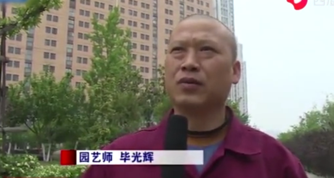 46歲園藝師畢光輝自學(xué)“剪刀手” 給綠植<em>修剪</em>造型