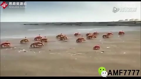 這才是團(tuán)隊精神！