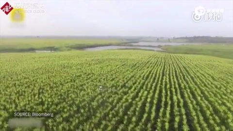外媒看農(nóng)業(yè)自動化：中國農(nóng)民這是要上天啊