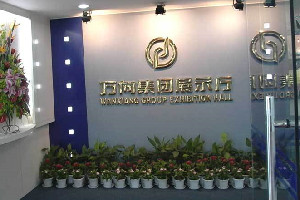 萬(wàn)向集團(tuán)公司發(fā)展歷程