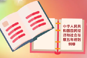五年規(guī)劃：中國(guó)國(guó)民經(jīng)濟(jì)計(jì)劃的重要部分