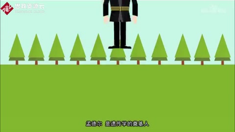 孟德爾：遺傳學(xué)的奠基人，被譽為現(xiàn)代遺傳學(xué)之父