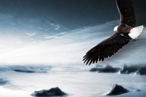 勤奮上進