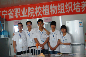 遼寧省高職組組培技能大賽現(xiàn)場服務(wù)團(tuán)隊(duì)