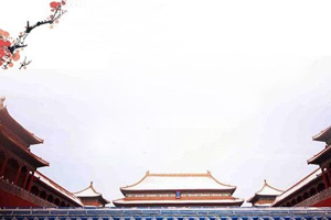 國(guó)慶話國(guó)車，紅旗精彩<em>知多少</em>？
