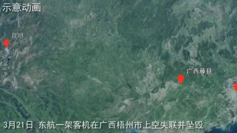 直擊東航客機墜機事故救援現場