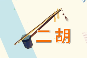 二胡—中國(guó)傳統(tǒng)拉弦樂器