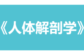<em>課件</em>：<em>康復(fù)</em>治療學(xué)、<em>護(hù)理學(xué)</em>、助產(chǎn)學(xué)<em>專業(yè)</em>《人體解剖學(xué)》