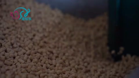 如何鑒別摻假魚粉？