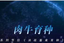 【<em>聚焦</em><em>三</em><em>農(nóng)</em>】決戰(zhàn)畜禽育種——肉牛育種