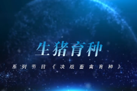 <em>決戰</em><em>畜禽</em><em>育種</em>——生豬<em>育種</em>
