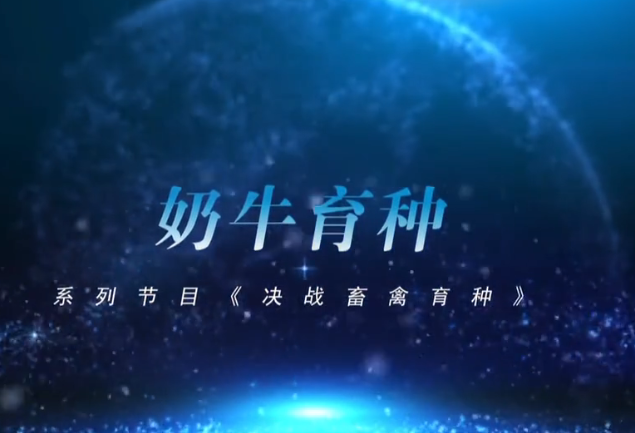 <em>決戰</em><em>畜禽</em><em>育種</em>——奶牛<em>育種</em>