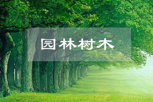 園林技術專業：《園林樹木—“匠心澆筑園林，守護綠水青山”》課程思政案例