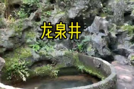 杭州西湖鳳篁嶺有一龍井泉，古老又神秘，被人們譽為天下第三泉