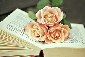 應用<em>語言學</em><em>專業</em>：《<em>語言學</em>概論—圖書館里找名家》<em>課程</em><em>思</em><em>政</em><em>案例</em>