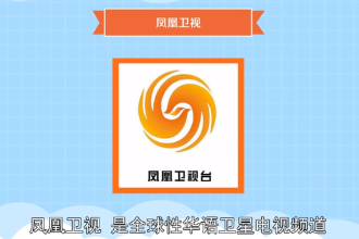 鳳凰衛(wèi)視—全球性華語衛(wèi)星電視頻道