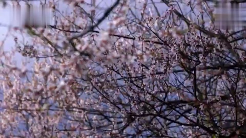 大力培育和弘揚(yáng)<em>社會</em>主義核心價(jià)值觀