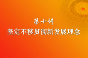 堅(jiān)定不移貫徹新<em>發(fā)展</em><em>理念</em>
