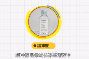 緩沖液—弱酸及其鹽<em>的</em>混合<em>溶液</em>等