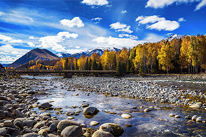 環(huán)境科學<em>專業(yè)</em>：《環(huán)境<em>生態(tài)學</em>》<em>課程</em><em>思</em><em>政</em>案例