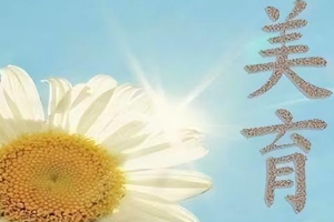 中國民航大學(xué)美育工作<em>實施方案</em>