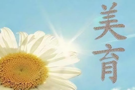美育類專業(yè)：《美育—藝術(shù)—音樂的力量》課程思政案例