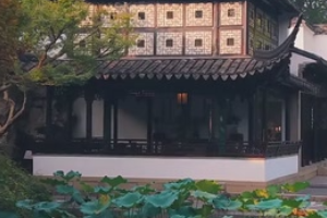 園林秋色！蘇州留園秋風(fēng)拂桂<em>古韻</em>悠然