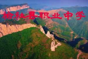 <em>微</em><em>課</em>：<em>中國(guó)共產(chǎn)黨</em><em>歷史</em>《<em>中國(guó)共產(chǎn)黨</em><em>歷史</em>—習(xí)近平新時(shí)代中國(guó)特色社會(huì)主義思想讀本》