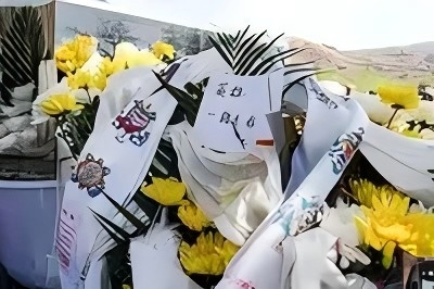 青山為證浩氣長存——木里森林火災救火英雄群像（代晉愷事跡）