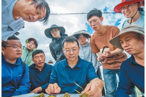 把論文寫在大地上——記2026'<em>最美</em>教師'<em>張</em>福鎖與科技小院
