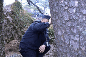 不一樣的你：守<em>松</em>人胡曉春13年守護黃山迎客<em>松</em>
