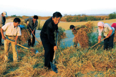 豁出一輩子干好一件事的<em>石</em>述柱，民勤治沙建9公里綠色屏障