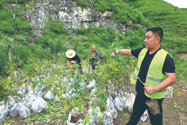 匠心筑綠三北，國家林草鄉土<em>專家</em>賈春雷