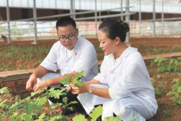 躬耕林業致力科研創新——全國綠化勞動模范