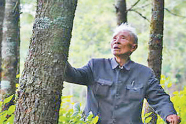 退休后扎根大亮山22年造林5.6萬畝，將價值3億元林場無償交國家