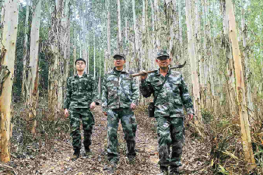 廣西最美護林員張學林的22年守山路