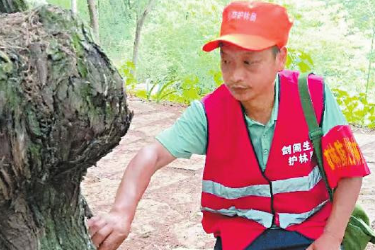 中國(guó)好人張玉富：8年磨破40雙膠鞋守護(hù)412棵<em>古柏</em>