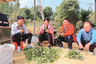 贛南林區(qū)森林醫(yī)生羅惠文，32年防治病蟲害獲評全國<em>最美</em><em>林草</em><em>科技</em><em>推廣員</em>