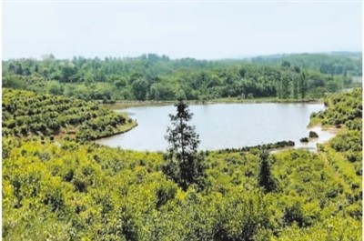 探訪林草科研國家隊<em>中國</em>林科院，蔣有緒論森林涵養(yǎng)水源功能