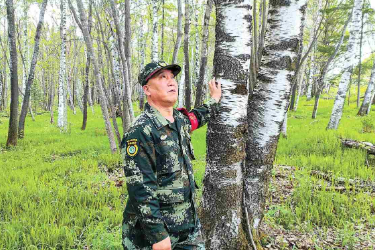 2025年全國勞動模范、龍江森工綏陽局森林防火部部長