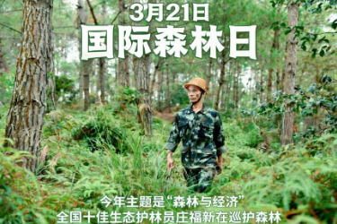 <em>全國(guó)十佳</em><em>生態(tài)</em><em>護(hù)林員</em>莊福新：守護(hù)青山就是守護(hù)每次呼吸