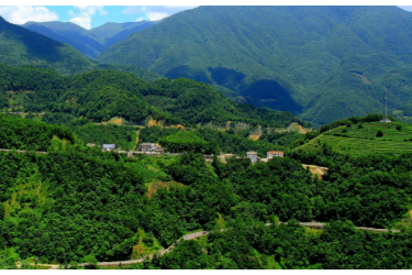 00后林三代接續(xù)父輩守望青山，神農(nóng)架云盤<em>管護</em>中心巡護員