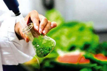 食品理化檢驗(yàn)與分析