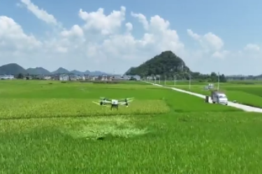 貴安新區龍寶村：無人機織就智慧防蟲網 科技護航<em>稻田</em>豐收路